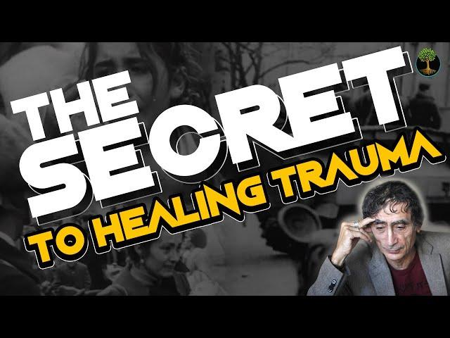 The Secret To Healing Trauma | Dr. Gabor Mate