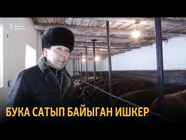 Бука сатып байыган ишкер