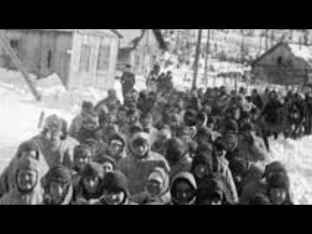 Заговор юристов.Варлам Шаламов.