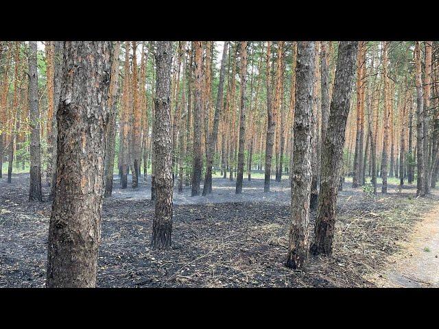 ХТО І НАВІЩО?? І Власівка новини - ВІП(власівський інформаційний портал)