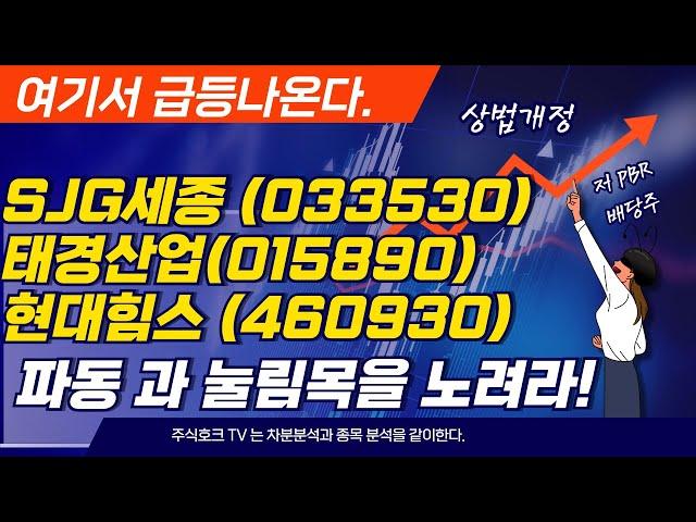 현대힘스,SJG세종,태경산업   상법개정, 저 PBR 종목및 조선  기자재 종목