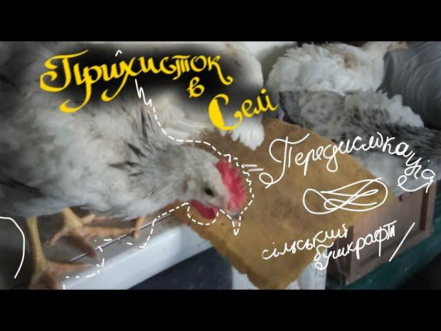Прихисток в селі/Передислокація лабораторії/Курячій атракціон та сільський бушкрафт