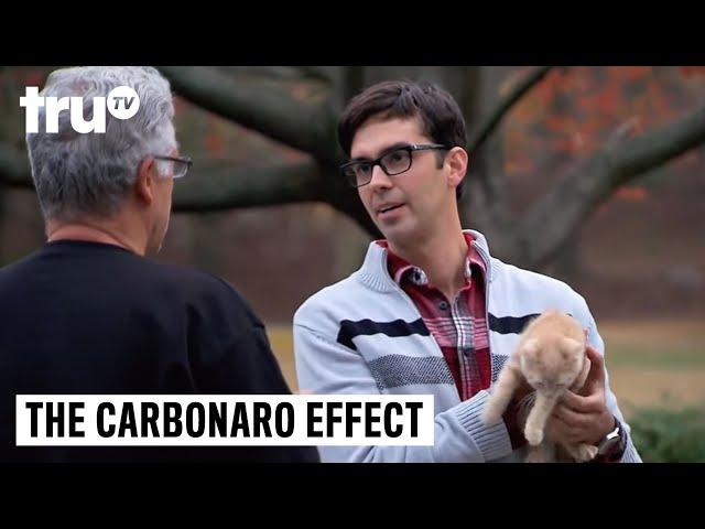 The Carbonaro Effect - Cat Goes Undercover in Dog Suit