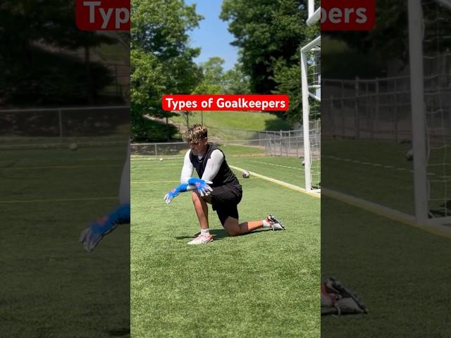 Which type of goalkeeper are you? #goalkeeper #goalkeepertraining