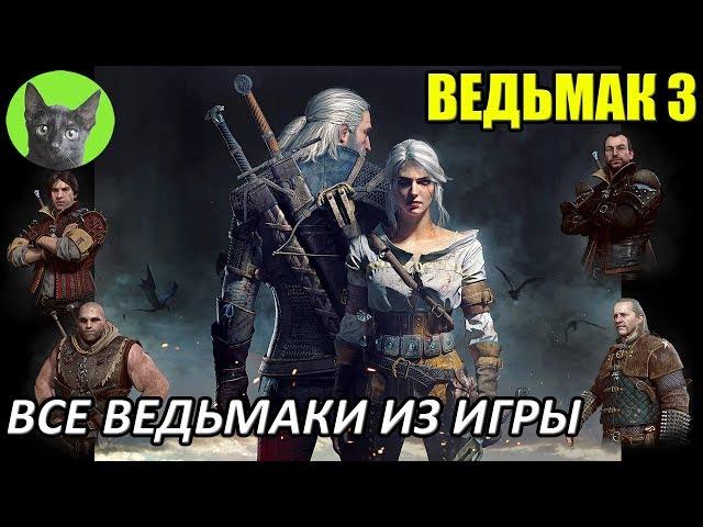 Ведьмак 3 - Обзор - Все ведьмаки из игры