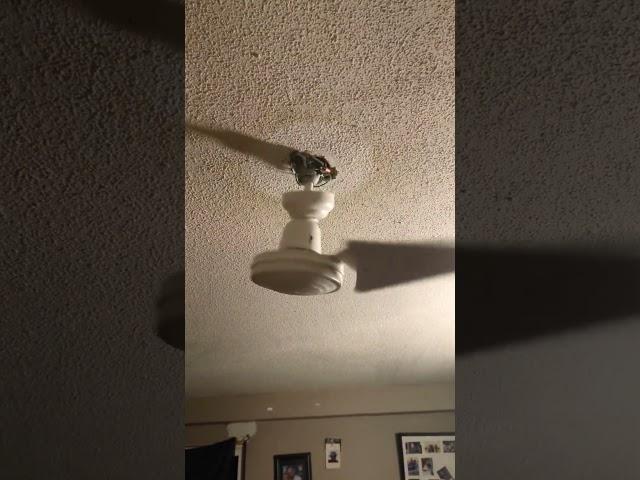 THE CEILING FAN FELL  #funny #ceilingfan #shorts #crazy