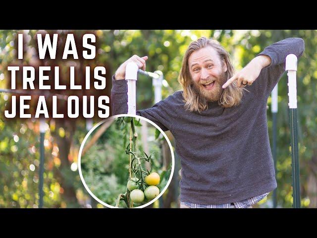 How to Build the ULTIMATE  TOMATO  TRELLIS