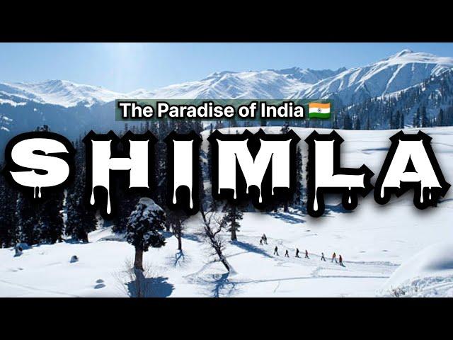 EP 1 - Shimla Best Places to Visit | Shimla Trip in December | Shimla Snowfall | Shimla Tour Plan