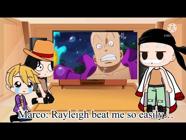 ꧁One Piece react to Luffy |One Piece friends react to  Luffy || one piece | Luffy | Gacha Club꧂ 