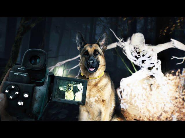 FOCUS ON THE DOG! |4| BLAIR WITCH VR