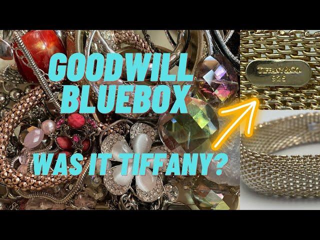 Goodwill Jewelry Blue Box South FL Unboxing