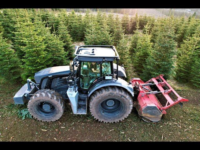 |4K| *Black* Fendt 936 Vario Forst & AHWI M700 Forestry mulching • HeavyEquipment • Schmelzer • #1