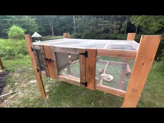 Easy Quail Pen Using Pallets | How to Make a Quail Coop Using Pallets | Quails for Egg