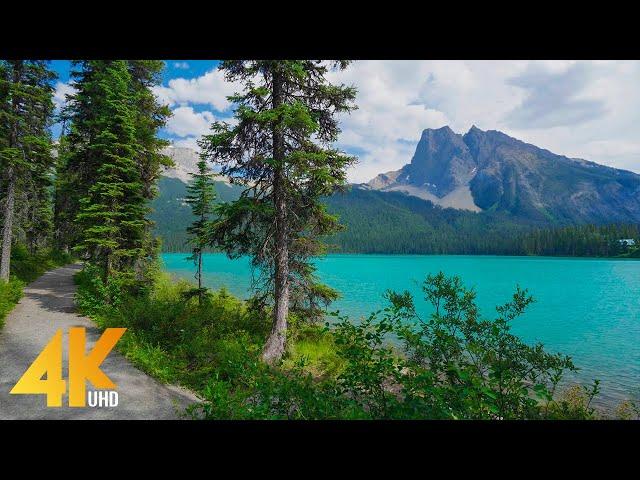 2 HRS Virtual Walk around Emerald Lake, Yoho National Park - 4K Nature Walking Tour + Birds Chirping