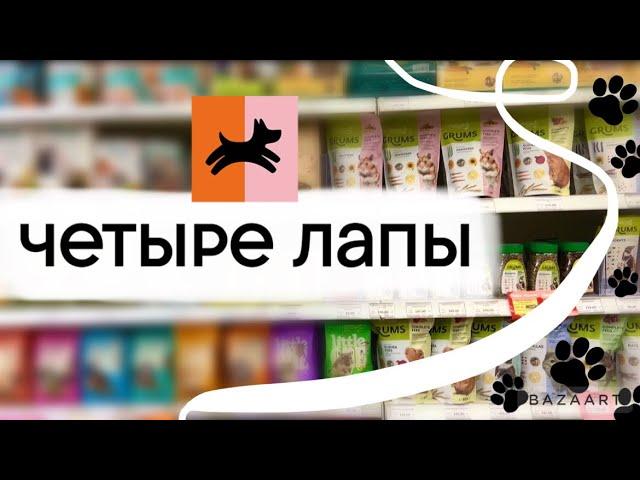 Идем за покупками для крыс в Четыре лапы