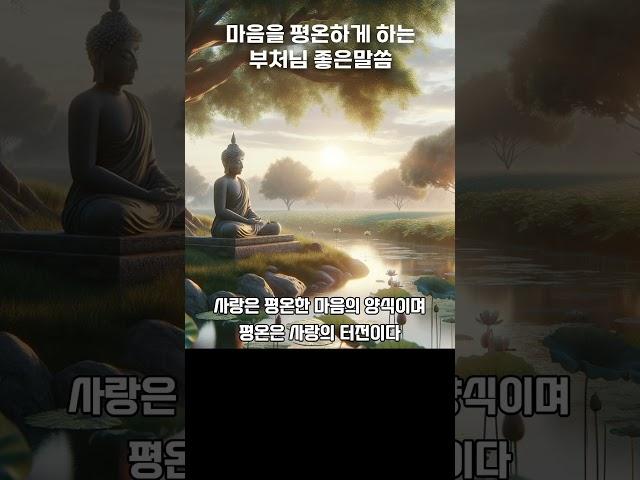  평온에서 피어나는 희망 #평온함 #평화 #평온 #부처핸접 #명상