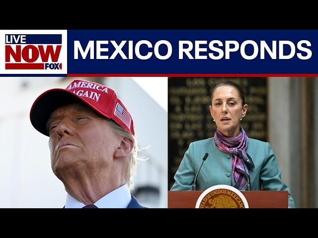 Striking Back: Mexico announces retaliatory tariffs to Trump tariffs