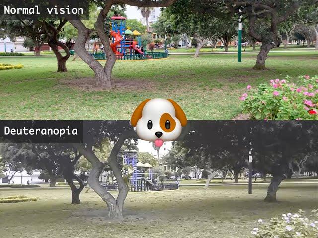 Dog's vision with Unity3D