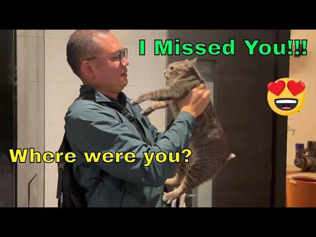 Rescuer Reunites With Cat 4 Years Later