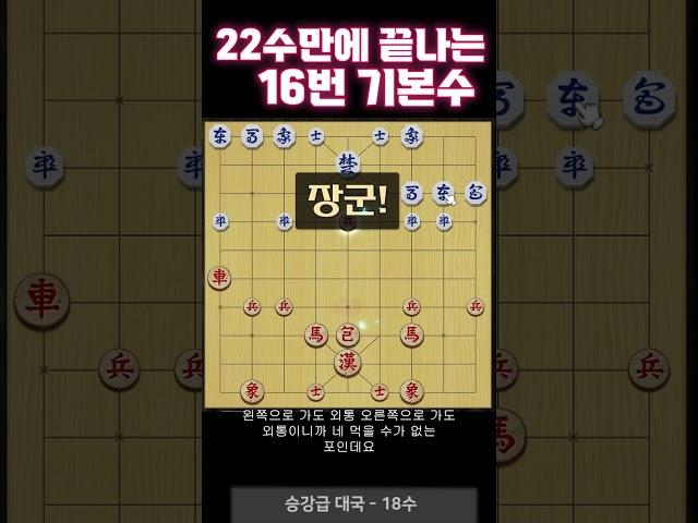 16번기본수... 20수컷