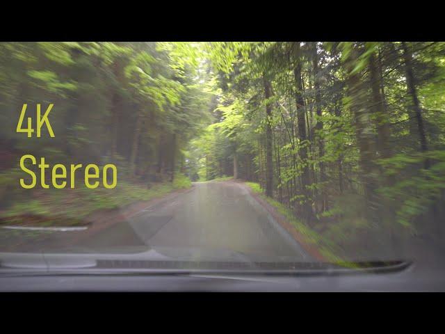 Driving in rain in the Swiss countryside through forests, wooden bridges, mountain passes and clouds