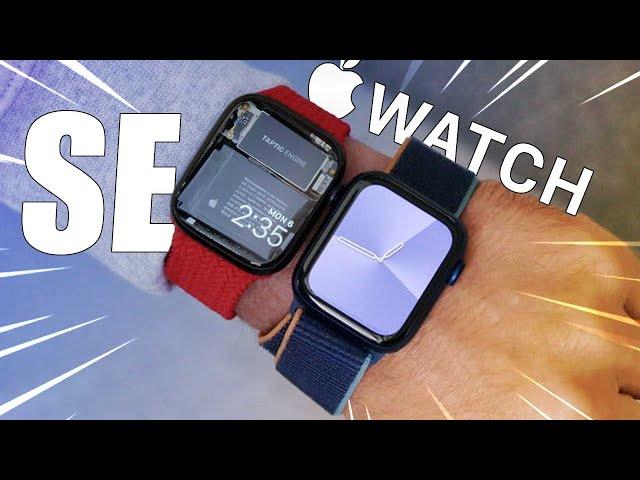 YOU Should Buy the Apple Watch SE, Here's Why!