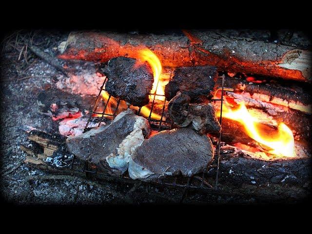 Bushcraft Cooking Moose Steak - With Doggy - HD Video