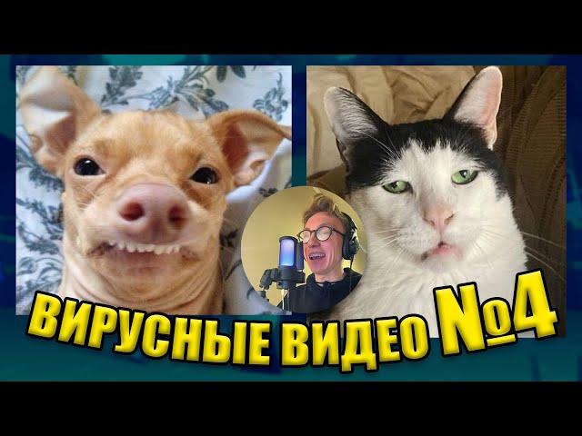 ВИРУСНЫЕ ВИДЕО / Подборка смешные моменты №4