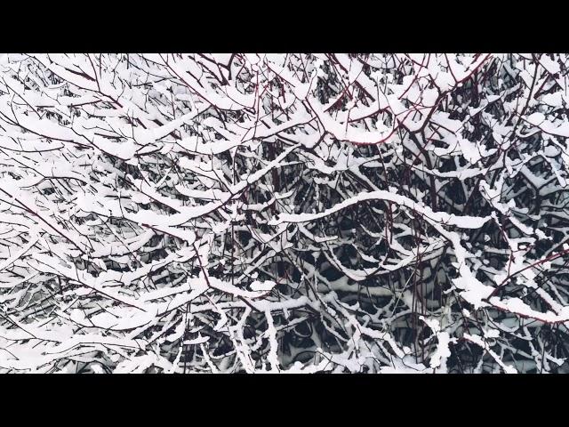 小雪 - Light Snow