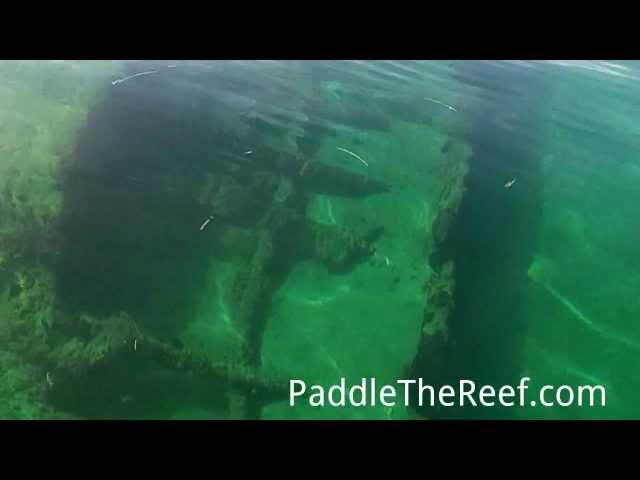 Germania Shipwreck - Half Moon Preserve