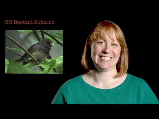 30 Second Science: Danielle Whittaker