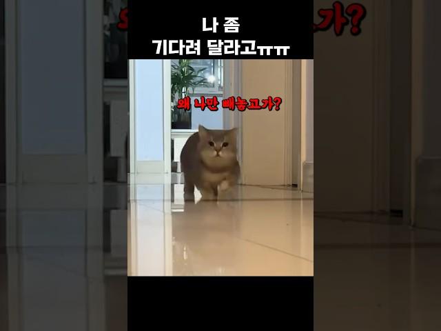 같이가자