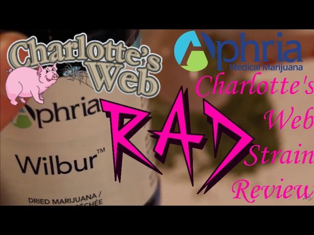 Charlotte's Web (Wilbur) by Aphria Inc. | Medical Marijuana / Cannabis Strain Review