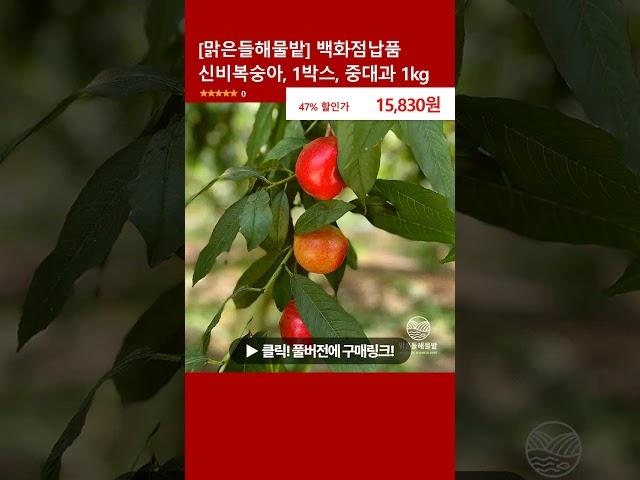 [맑은들해물밭] 백화점납품 신비복숭아, 1박스, 중대과 1kg