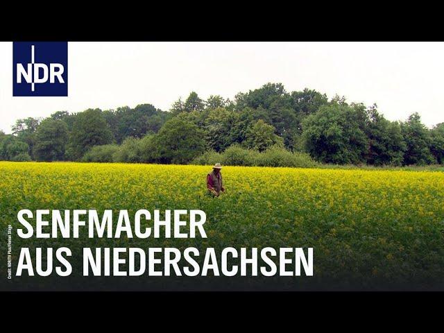 Senf - Der Scharfmacher des Nordens | Die Nordreportage | NDR Doku