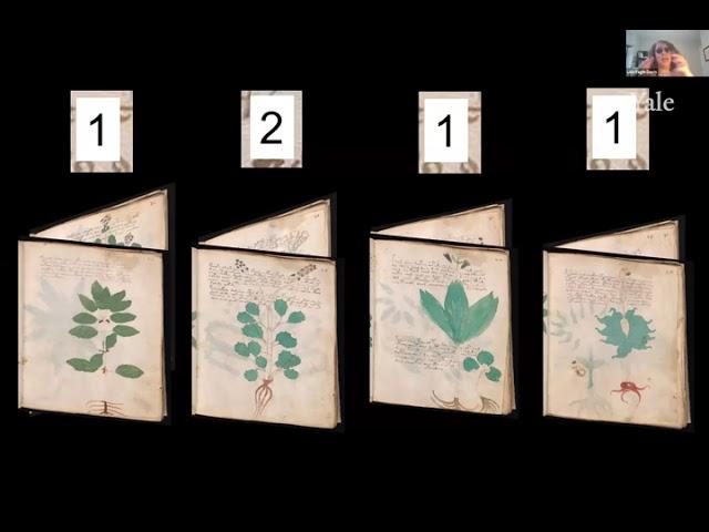 Voynich Manuscript w/ Lisa Fagin Davis, Raymond Clemens, Claire Bowern  Mondays at Beinecke 7/12/21