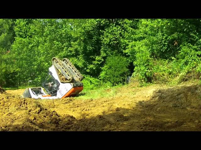 rolling over a bobcat