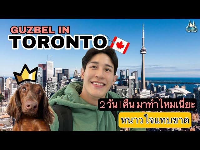 เที่ยวโตรอนโต้ (Toronto) ครั้งแรกกับน้องหมาสุดรัก กับแฟนใจดีพาเที่ยวฟรีทั้งทริป หนาวปากแข็ง 