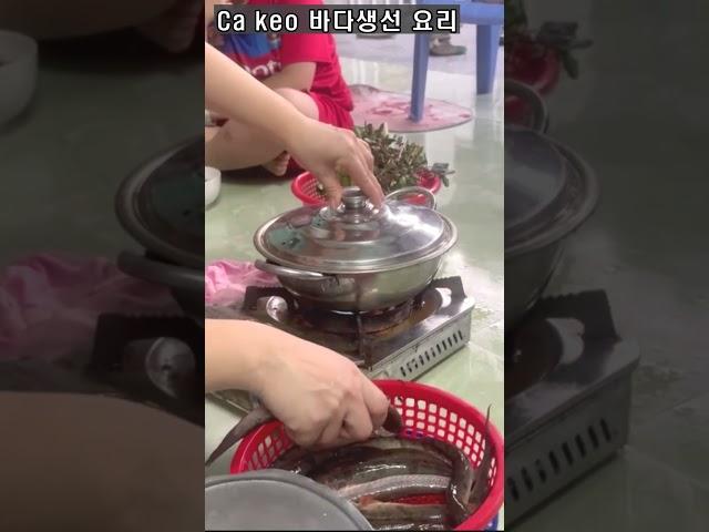 베트남 물고기요리 #왕촌tv팬단톡 #국제커플 #베트남정보소통방
