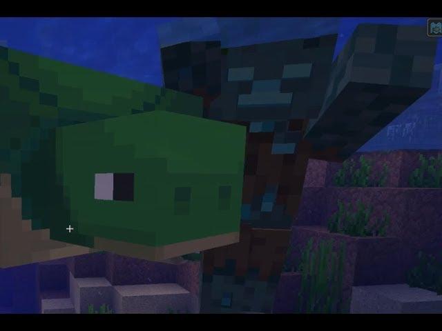 when you have too many turtles in minecraft