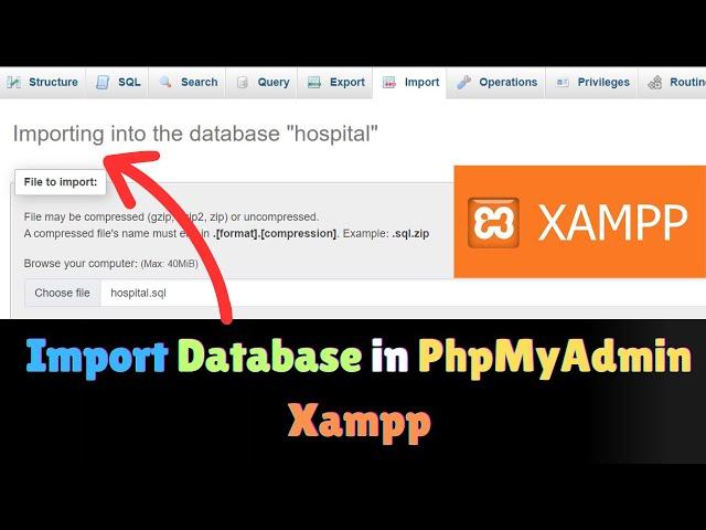 How to Import a MySQL Database to phpMyAdmin Xampp