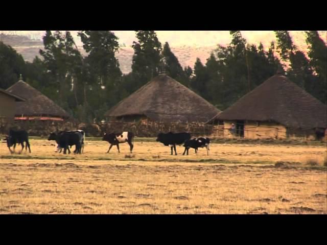Introducing the ILRI campus in Ethiopia: The facilities and the people