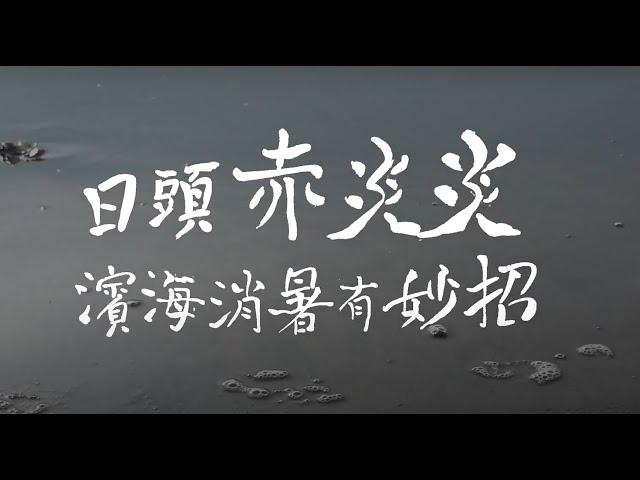 【雲嘉南好好玩】 炎炎夏日濱海消暑小妙招