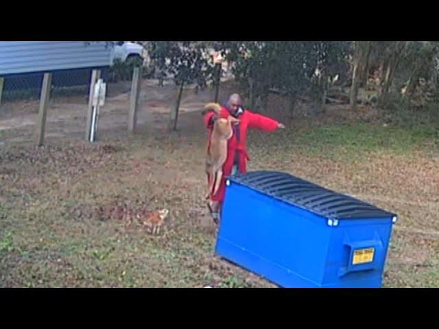 Man Grabs Coyote’s Tail to Save Beloved Dog’s Life