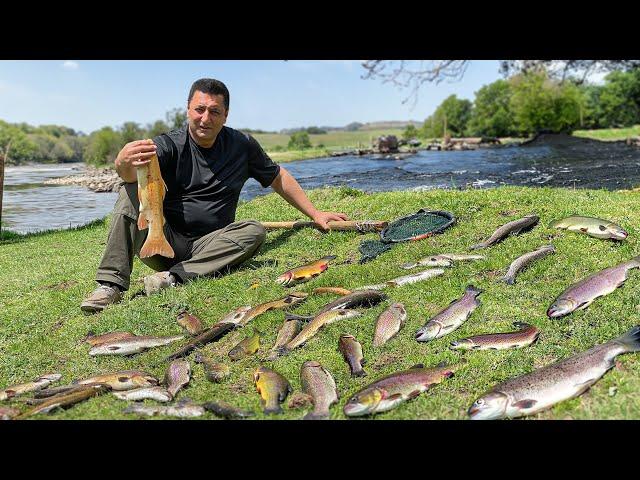 My Favorite Dishes Are Made From The Freshest Trout! Life In A Faraway Village