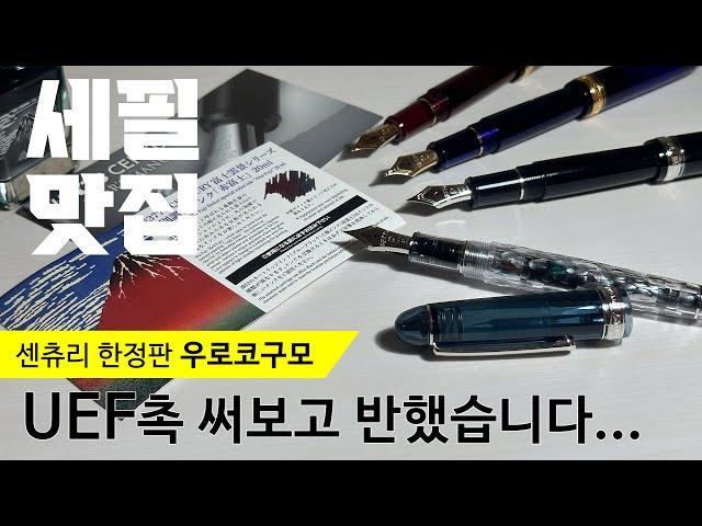 플래티넘 펜촉 고르기 UEF・EF・F・C  구름을 모티브로 한 한정판 등장? 우로코구모  플래티넘 센츄리 싹 가지고 나왔습니다