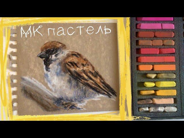 Как нарисовать воробушка сухой пастелью на крафт бумаге Soft Pastels mungyo