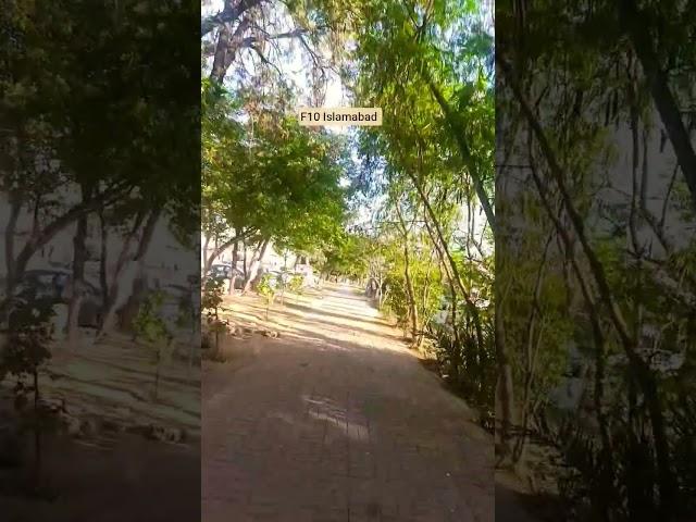 beautiful view of Islamabad #feelings #flowers #islamabad #shorts #viralvideo #shortvideo #trending