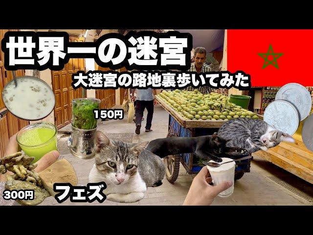 【古都フェズ】世界遺産の迷宮の町/ たくさんの店、人、猫/ ローカルフードを探す旅/モロッコの旧市街で1番の規模