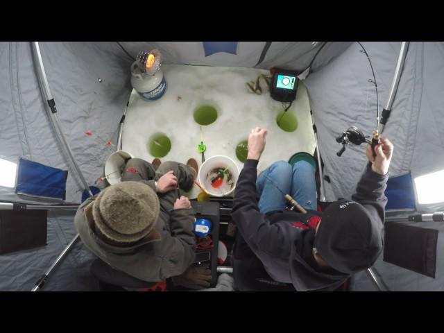 Ice Fishing Yellow Perch Lake Eckleson - Lost the bet vs Dad